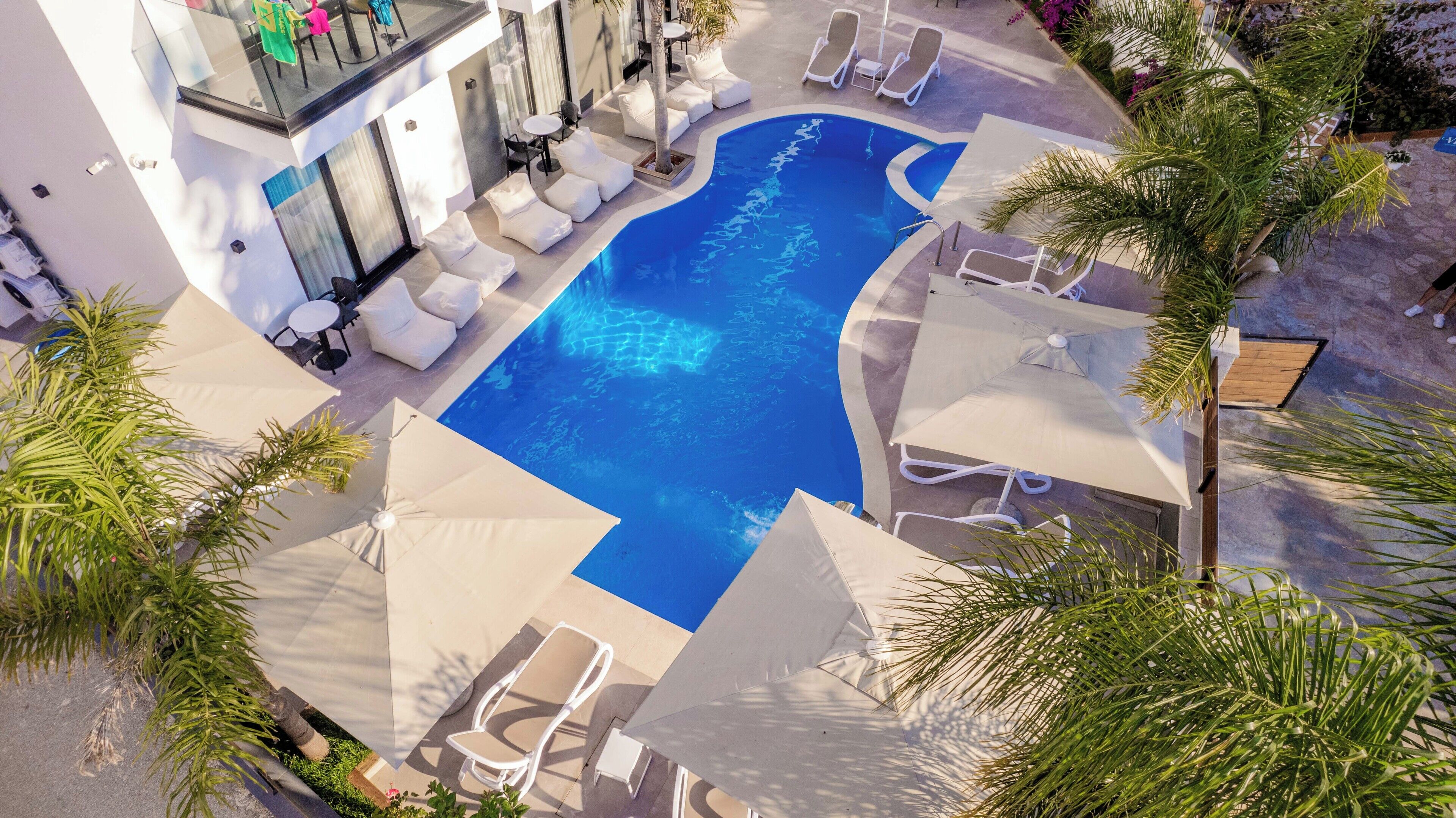 Un área de piscina en la azotea con sillones y sombrillas, rodeada de palmeras.