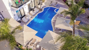 Un área de piscina en la azotea con sillones y sombrillas, rodeada de palmeras.