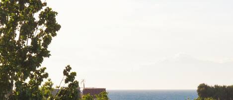 A view of the sea from a balcony with a railing, trees, and a building in the background.