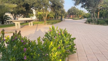 Área da propriedade