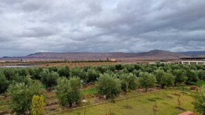 Paisatge amb un camp d'arbres, un pont i muntanyes allunyades sota un cel nuvolós.