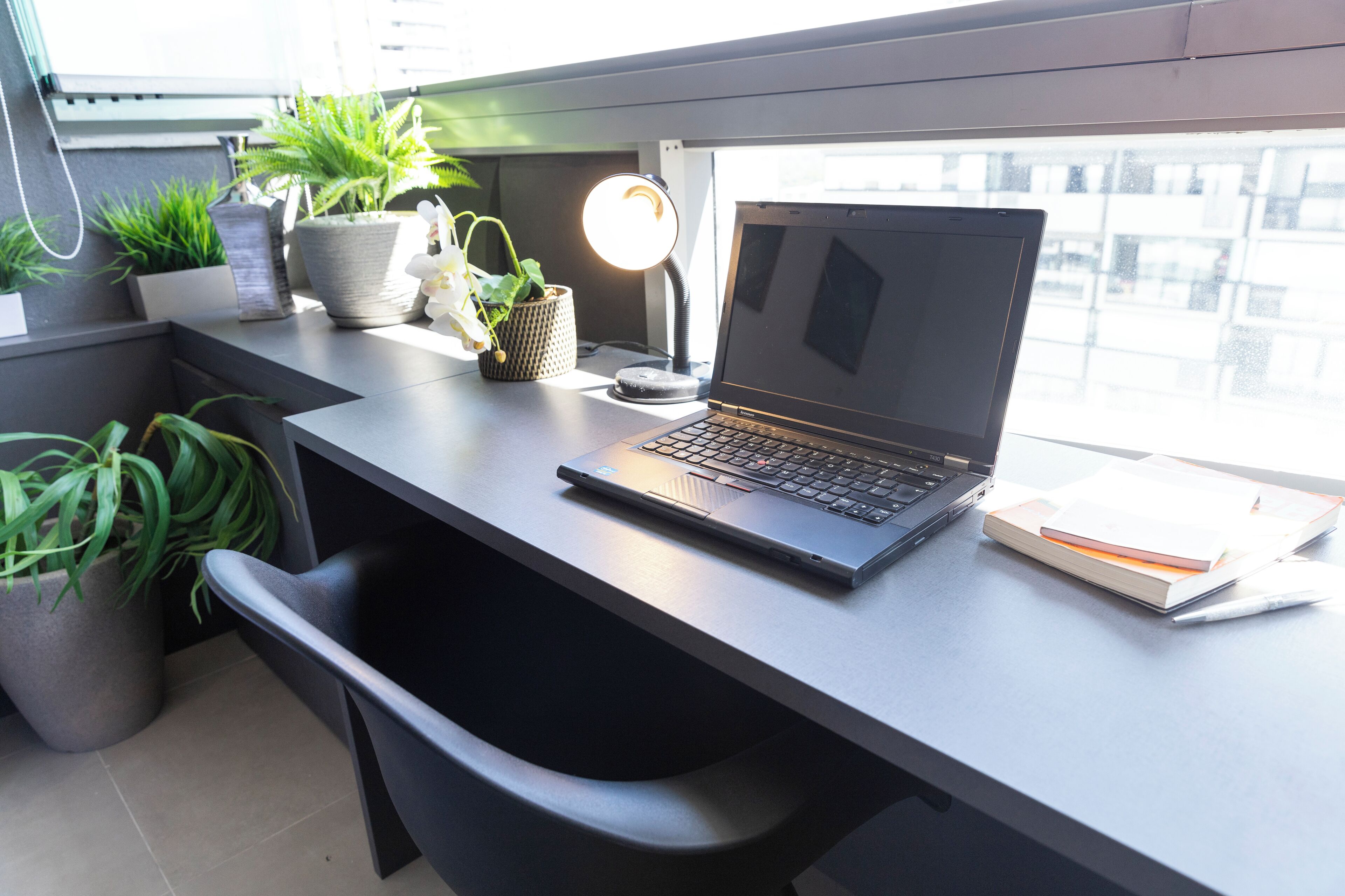 A modern workspace with a laptop, a desk lamp, and several potted plants.
