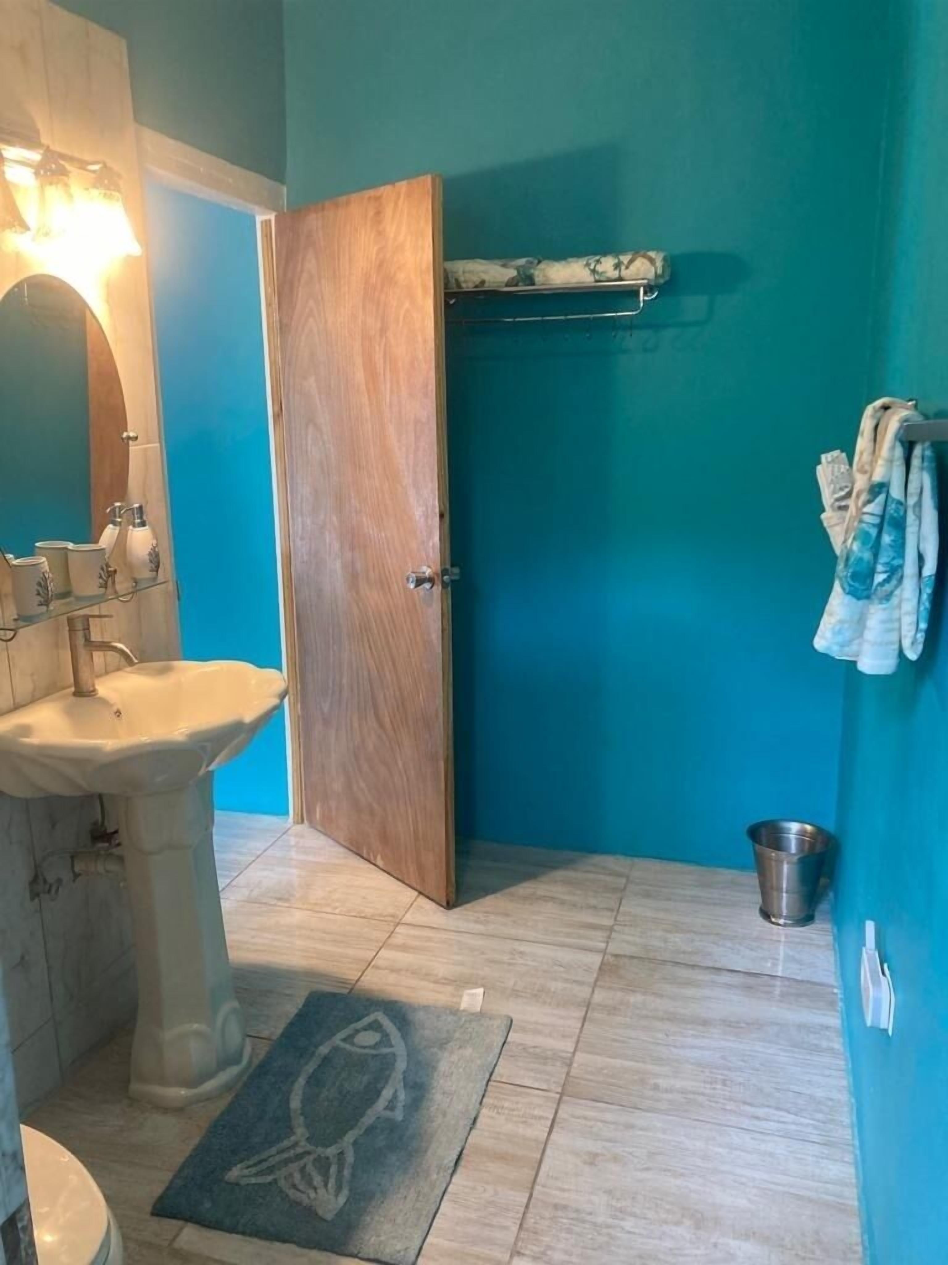 Shower, hair dryer, towels