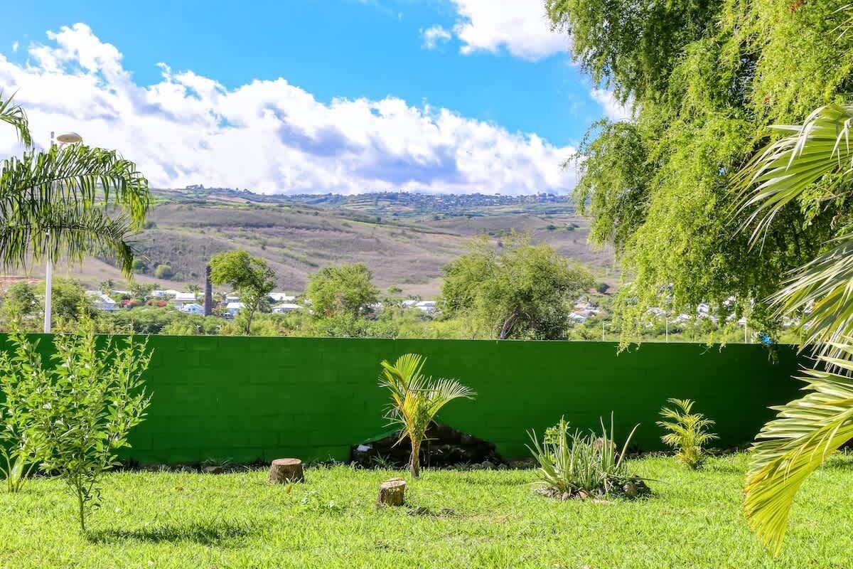 A lush green landscape with a view of a distant town, a green wall, and various small trees and plants.