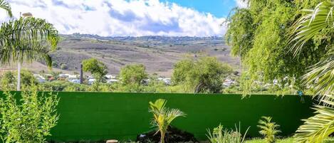 A lush green landscape with a view of a distant town, a green wall, and various small trees and plants.