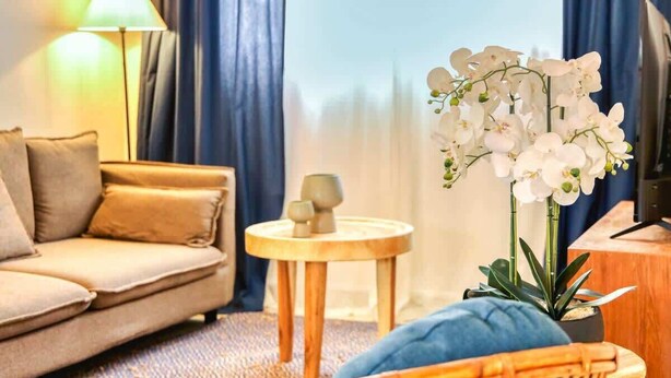 Ein gemütliches Wohnzimmer mit einer Couch, einem kleinen runden Tisch mit Dekoration, einer Topfpflanze und einem Fernseher.
