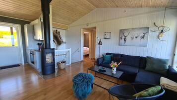 Älytelevisio, takka