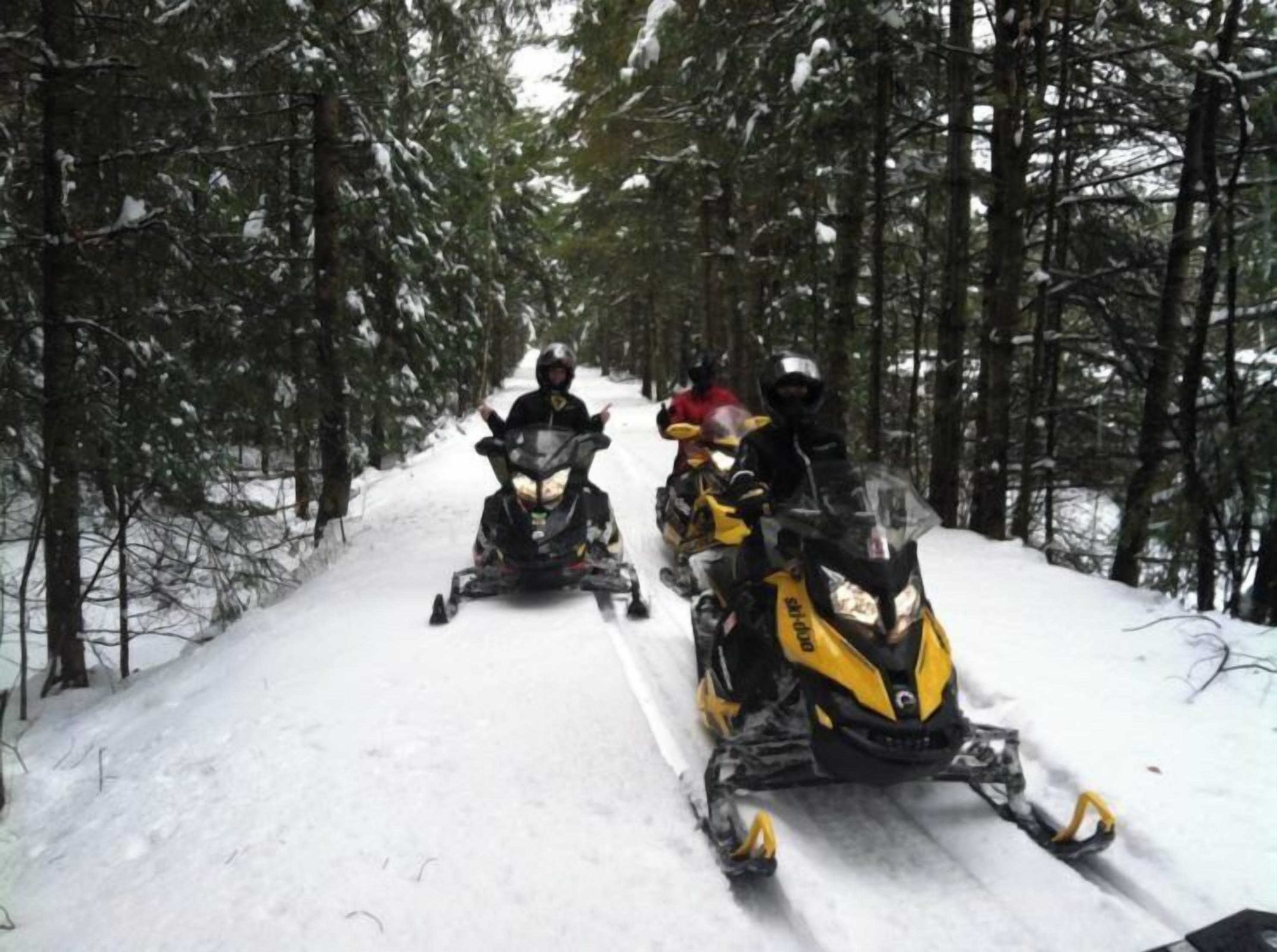 Three snowmobiles on a snowy path through a forest.