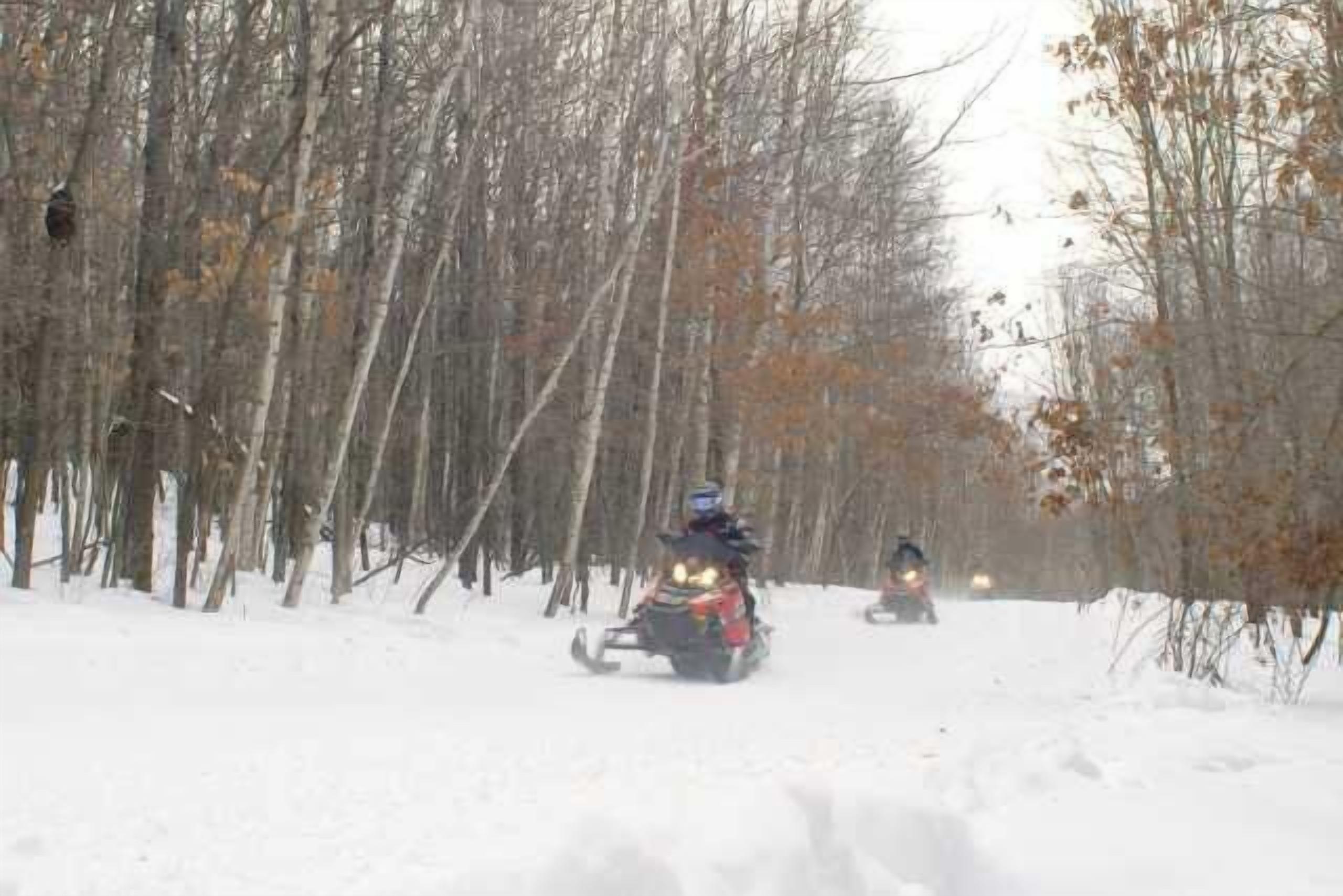 Un motoslitta su un sentiero innevato, circondata da alberi.