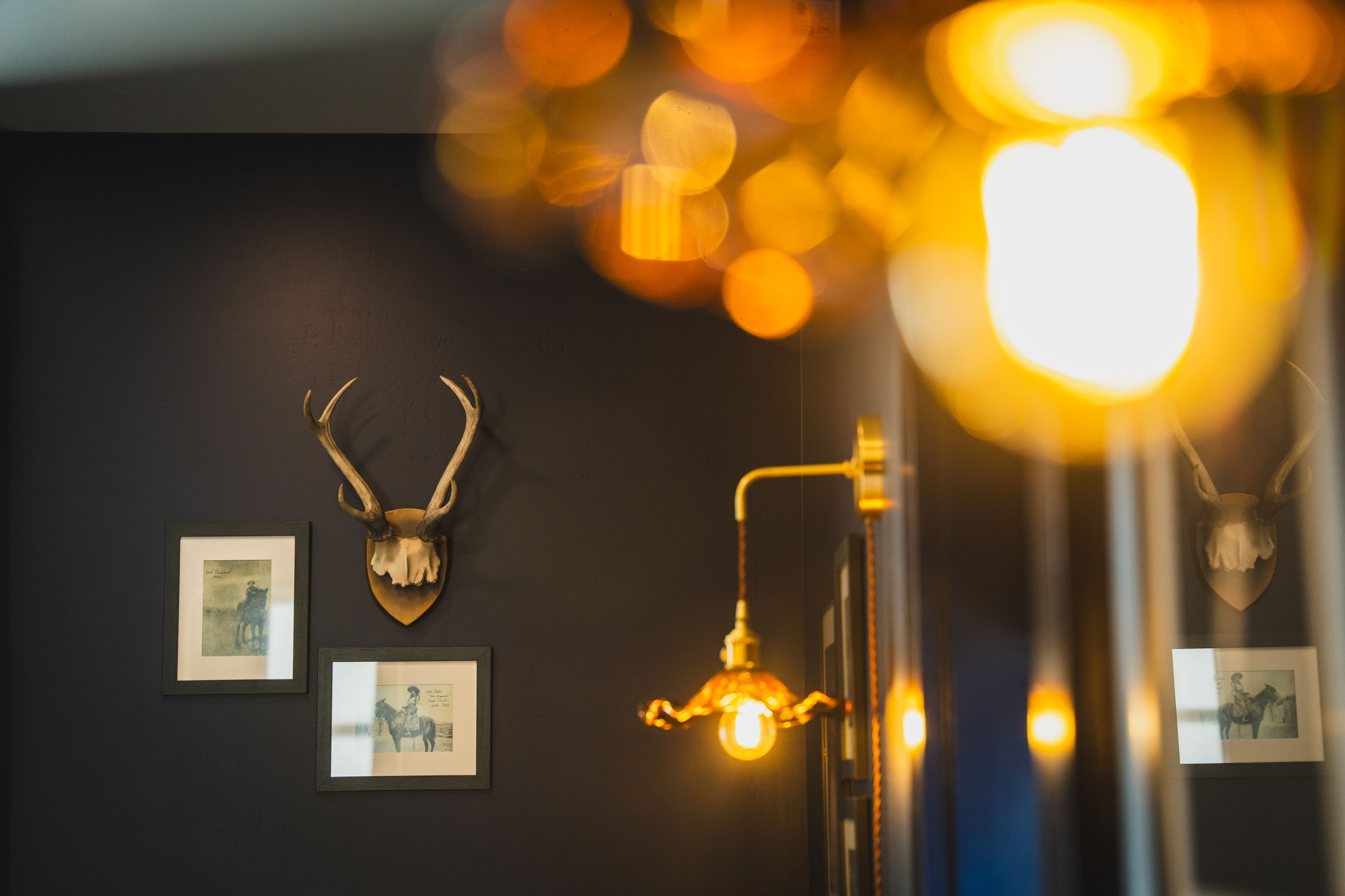 A dark wall with framed pictures and a mounted animal skull.