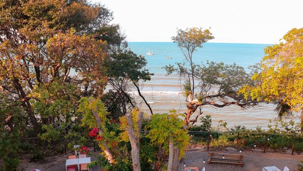 A coastal view with trees and a beach. - Qavi - Recanto Nalu (Tibau do Sul)