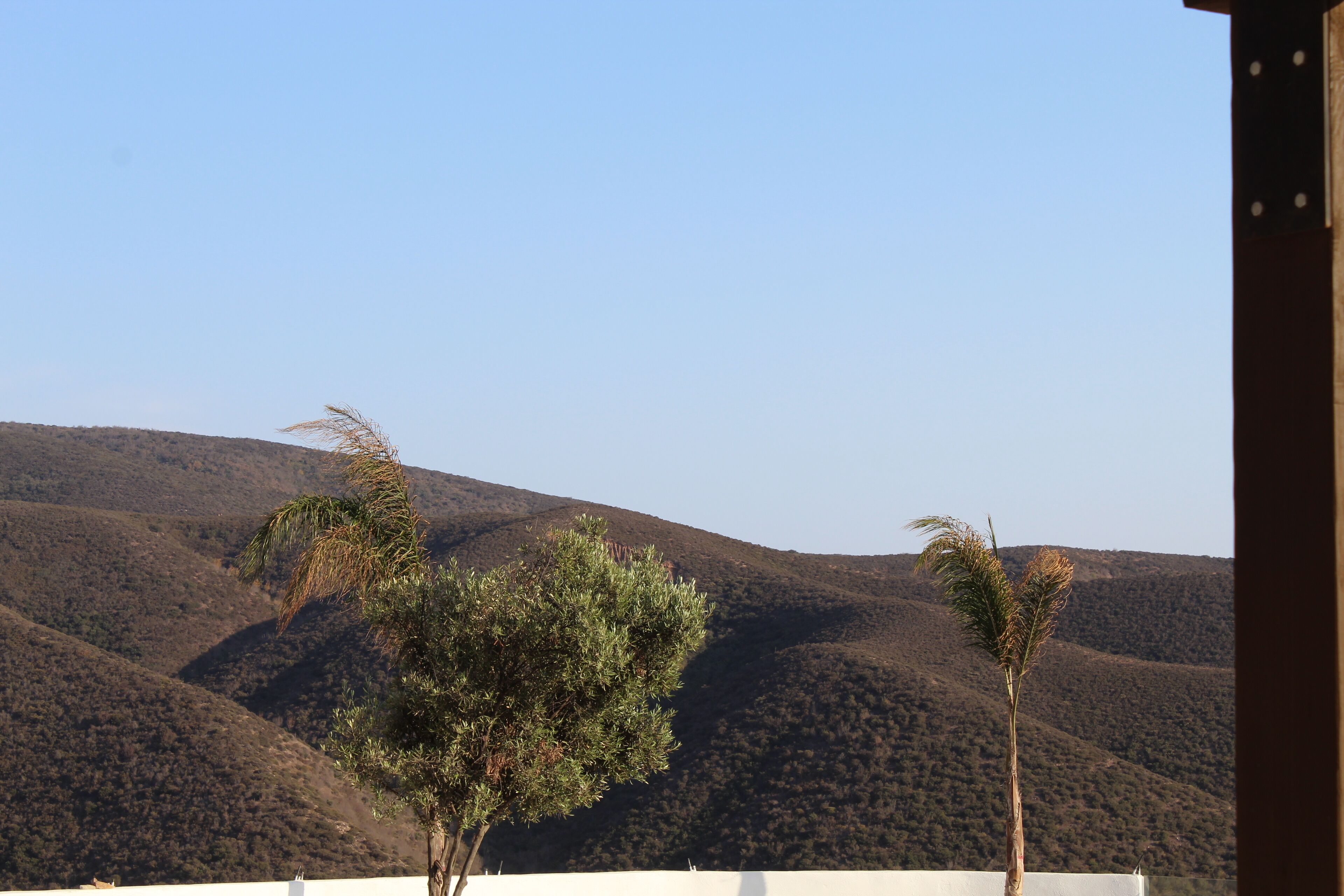 Foto - Viñas del Castillo