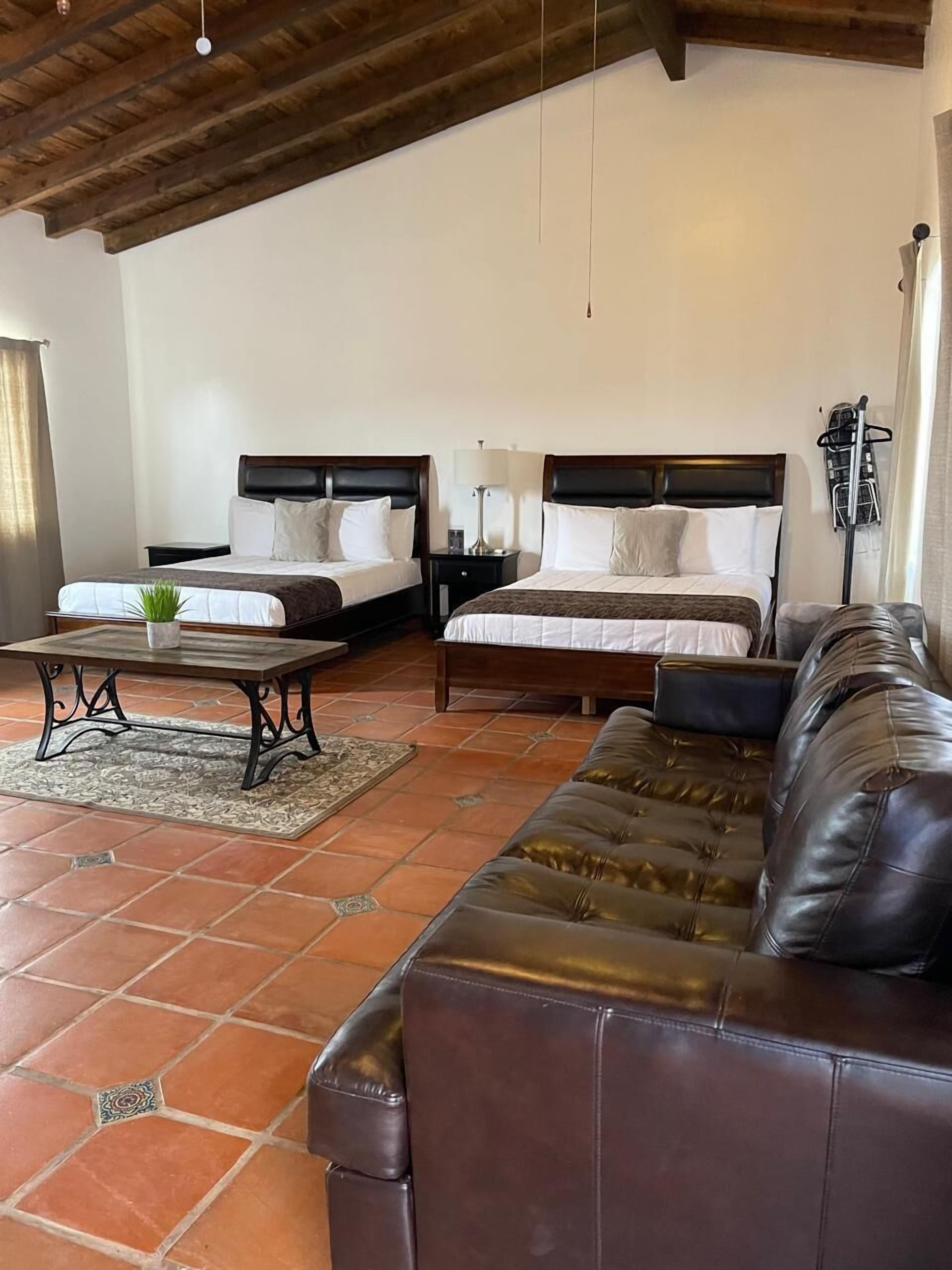 Foto - Viñas del Castillo