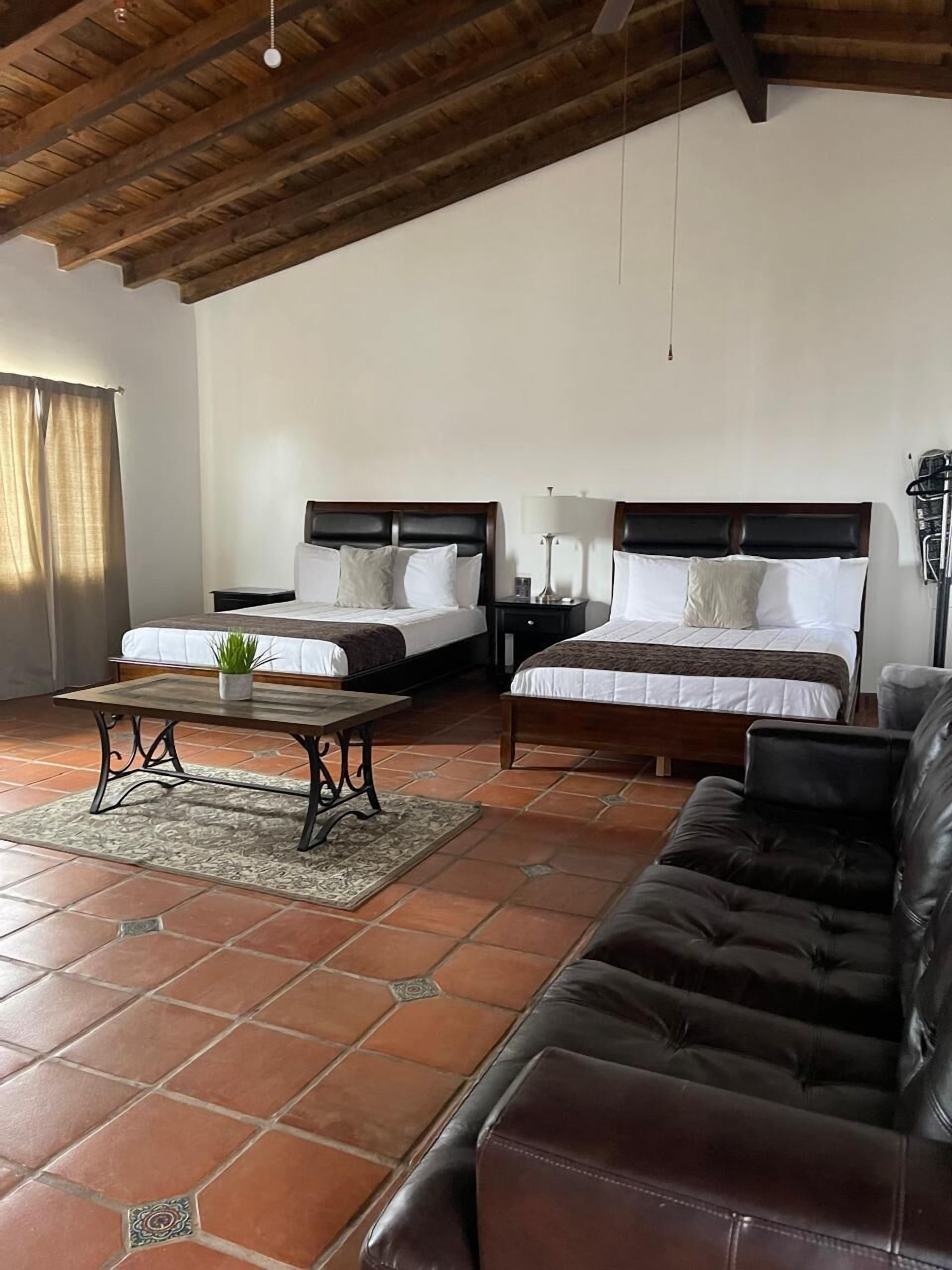 Foto - Viñas del Castillo