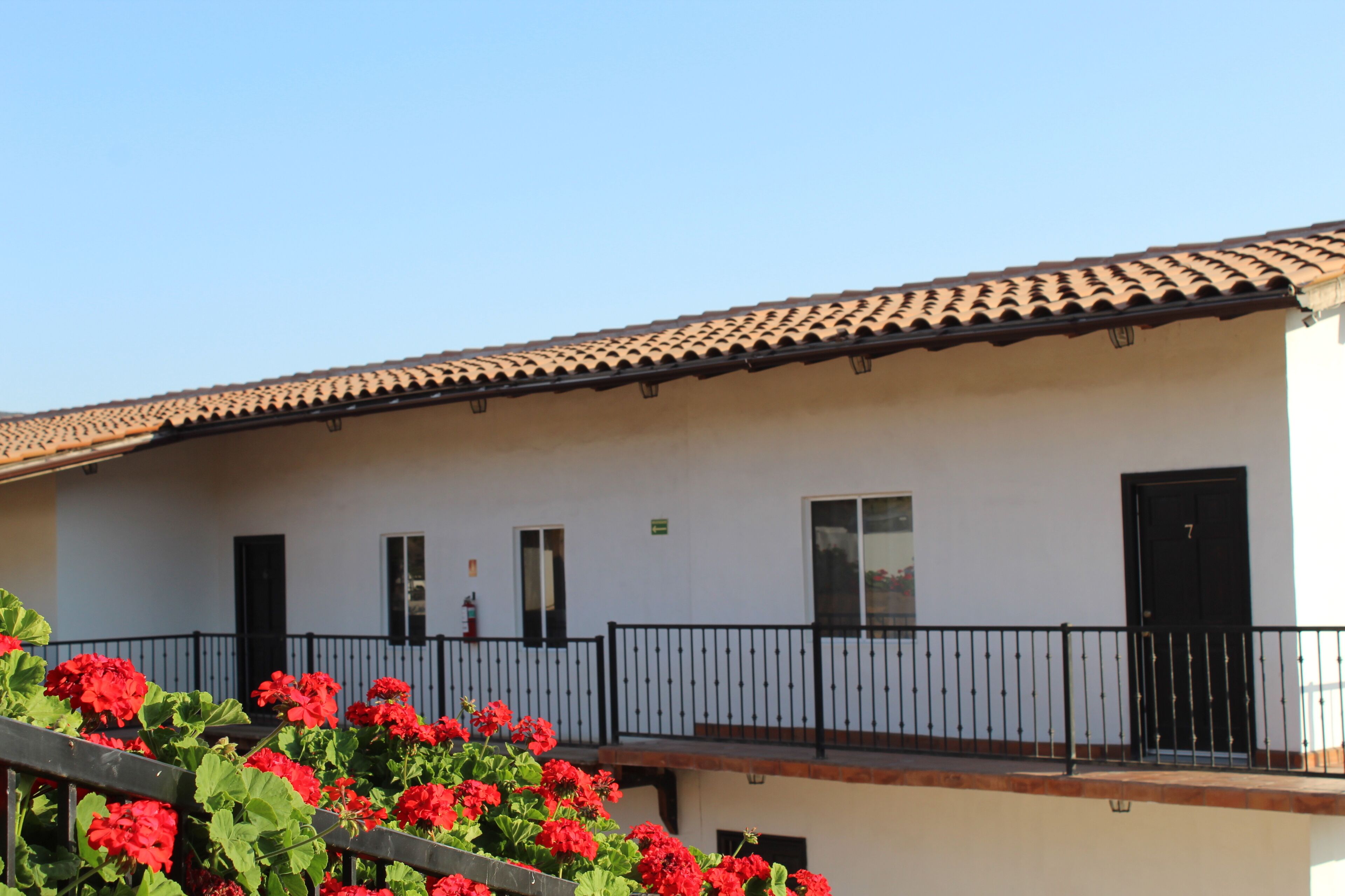 Foto - Viñas del Castillo