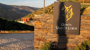 A stone wall with a sign for Quinta Vale de Lobos in Douro. - Quinta Vale de Lobos Douro (Armamar)