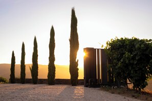 Property entrance - Quinta Vale de Lobos Douro (Armamar)