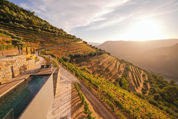 Exterior - Quinta Vale de Lobos Douro (Armamar)