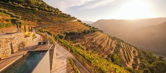 Quinta Vale de Lobos Douro