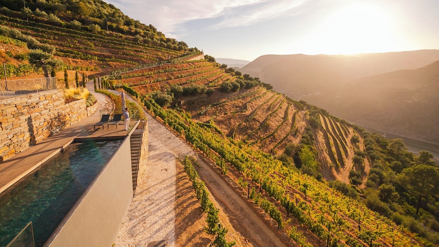 Quinta Vale de Lobos Douro