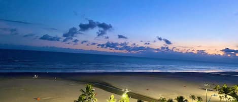 A beach with palm trees, a playground, and a view of the ocean.