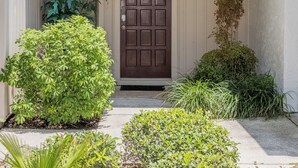 A house with a brown front door, white siding, and a small front yard with various plants.