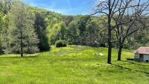 Un champ herbeux avec des arbres et un petit bâtiment.