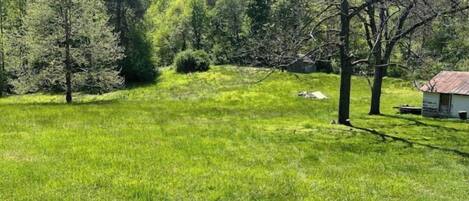 A grassy field with trees and a small building.