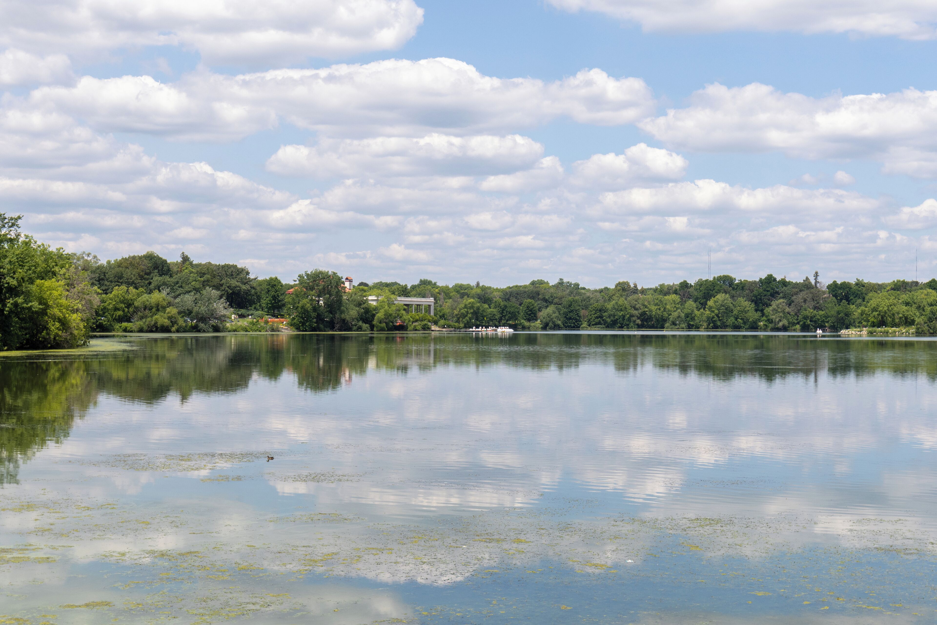 Un lago tranquilo con un bote amarrado a la derecha, rodeado de árboles y edificios al fondo.