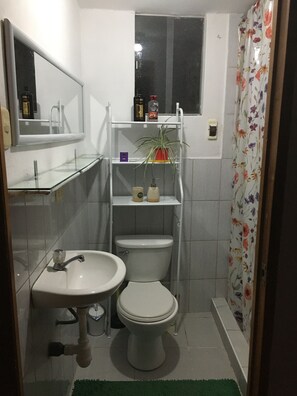 Secador de cabelo, toalhas de banho, sabonete, shampoo