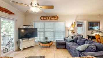 TV, DVD player, books