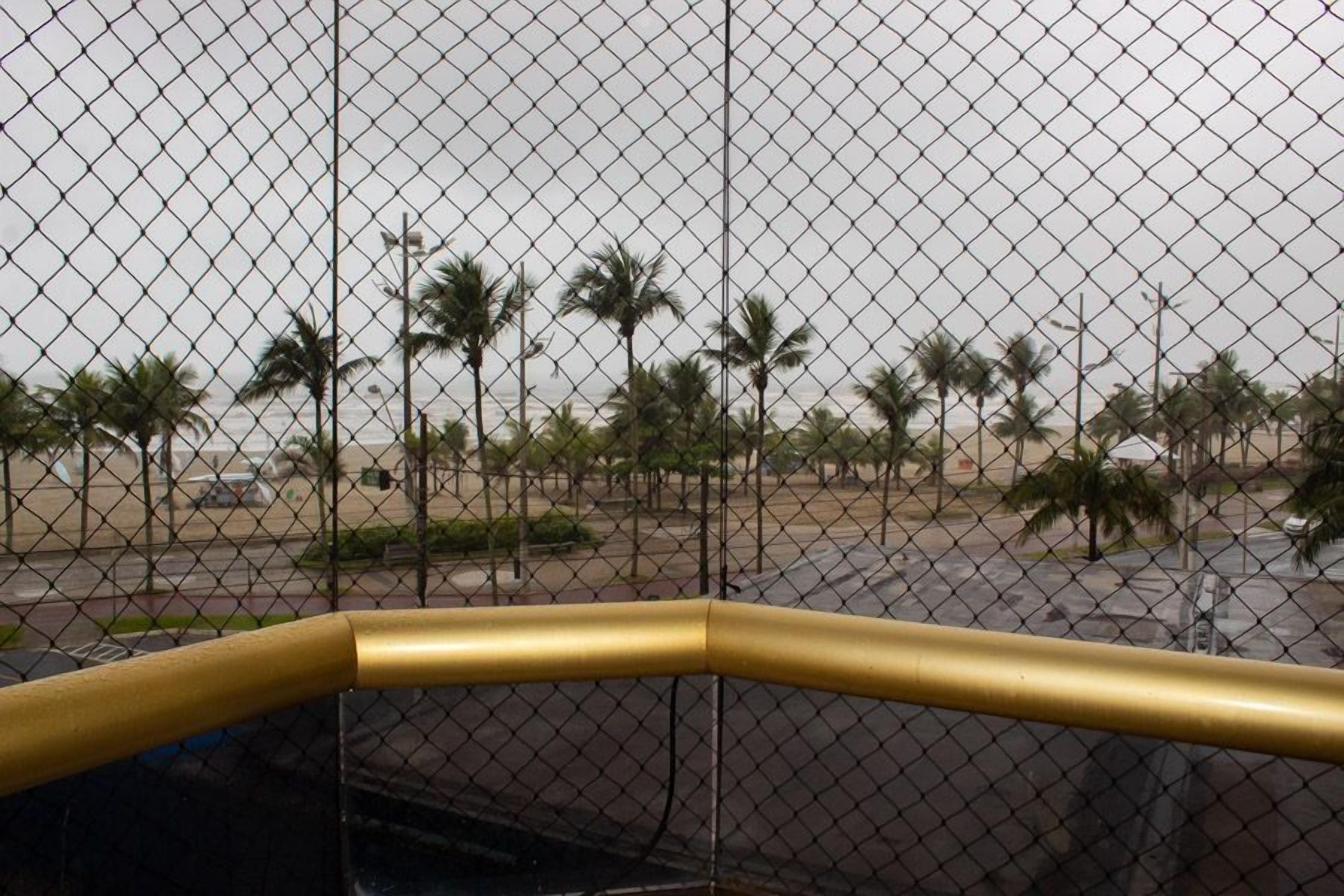 A chain-link fence with a palm tree-lined street in the background.