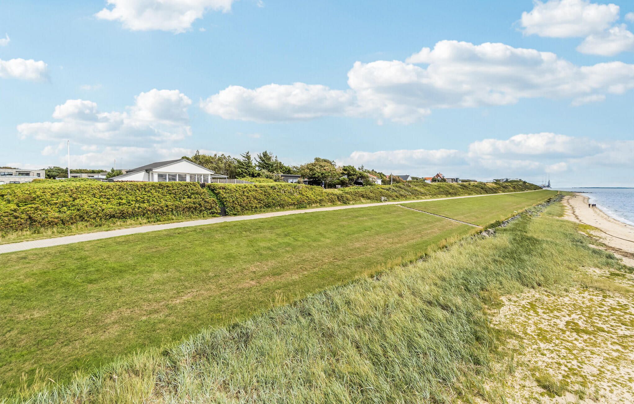 A coastal landscape with a grassy path, beach, and houses in the background.