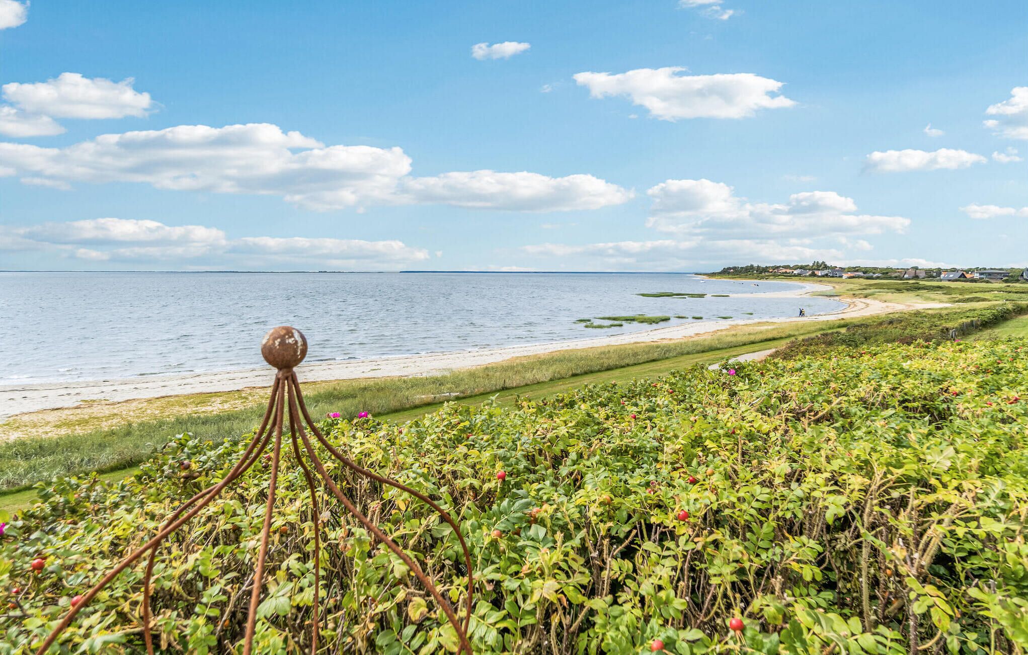 Un paysage côtier avec une plage de sable, des zones herbeuses et un ciel dégagé.