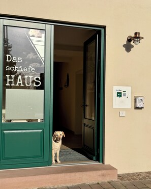Un chien se tient à l’entrée d’un immeuble, devant une enseigne indiquant « Das schiefe HAUS », et un système d’interphone KeyBoy.