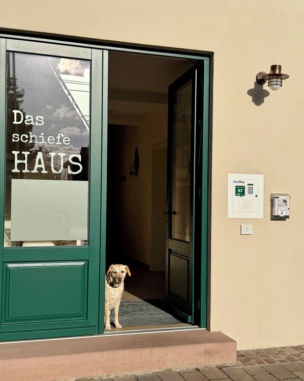 Un chien se tient à l’entrée d’un immeuble, devant une enseigne indiquant « Das schiefe HAUS », et un système d’interphone KeyBoy.