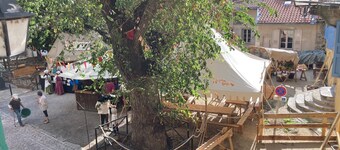 Le Grand Orme. Appartement au Coeur du Centre Historique