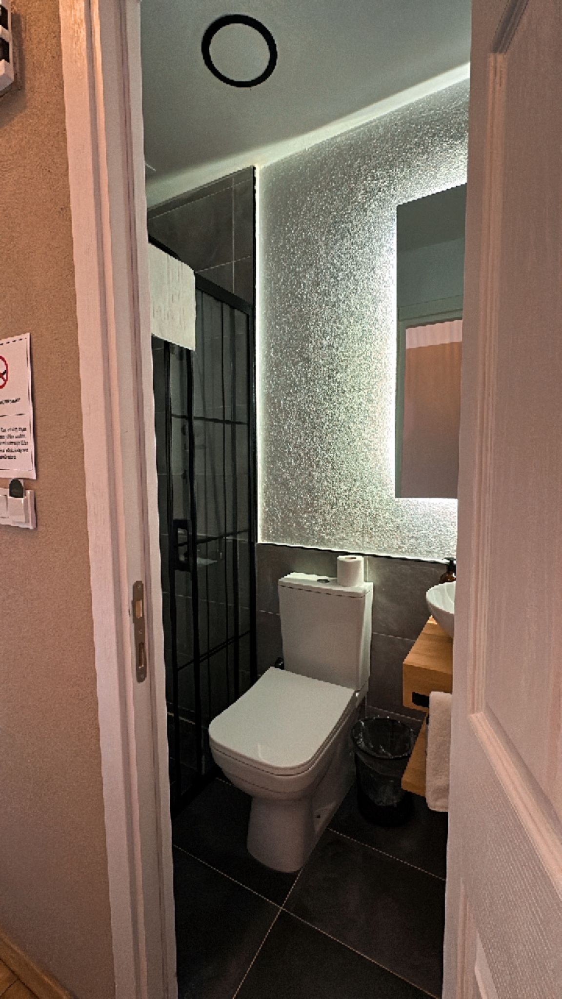 A bathroom with a toilet, a sink, and a mirror.