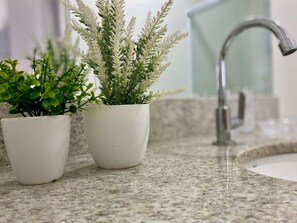 Two potted plants on a bathroom countertop. - Flat Unitá Homestay (Praia Grande)