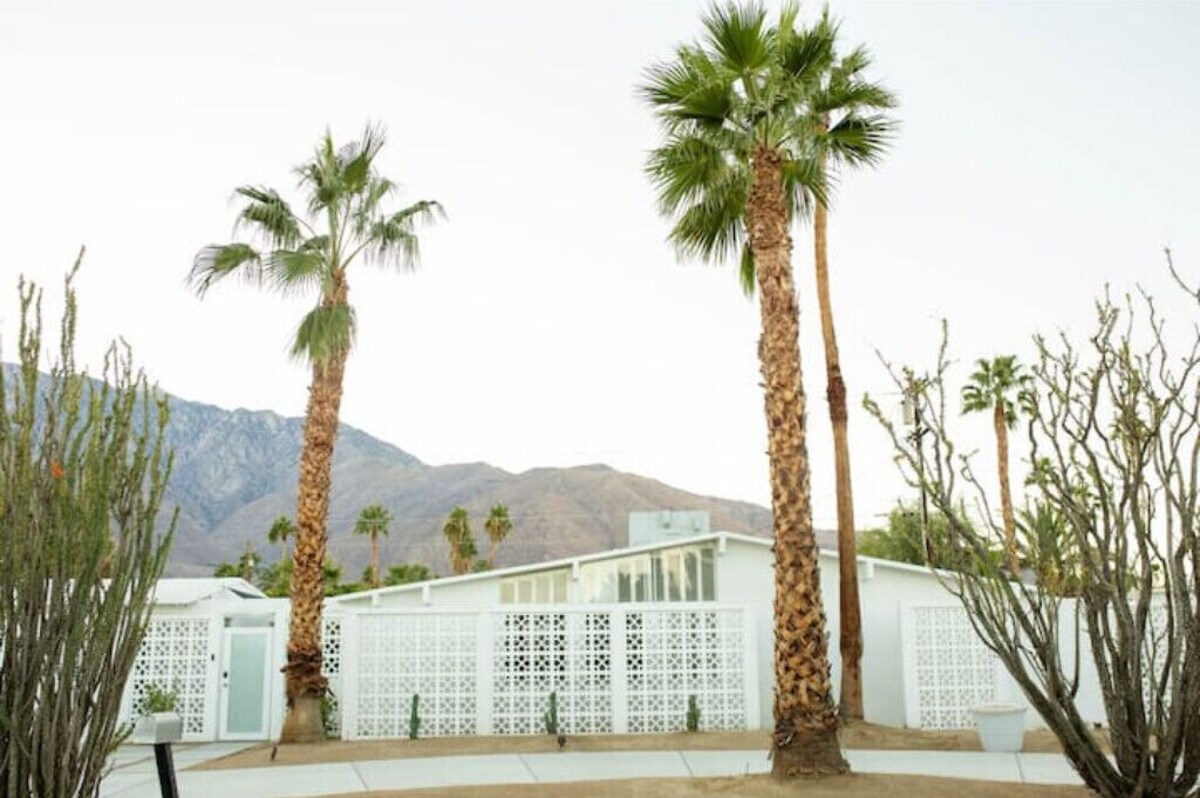 Imagen de perfil del propietario o de la propietaria