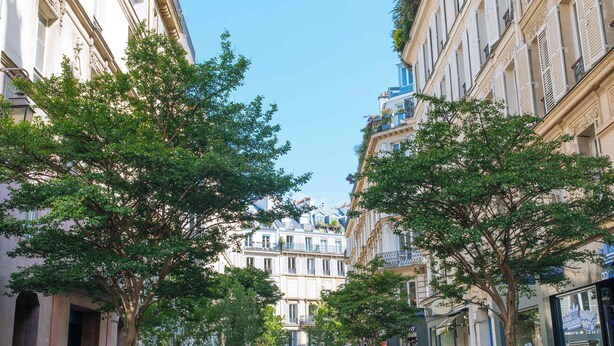 Une rue étroite bordée d’immeubles à plusieurs étages, d’arbres et de balcons ornés de plantes.
