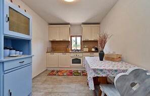 Fridge, oven, stovetop, dishwasher