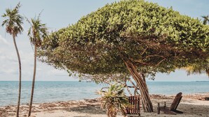 Unclassified image, 4 of 20, button - Summer Breeze  (Placencia)