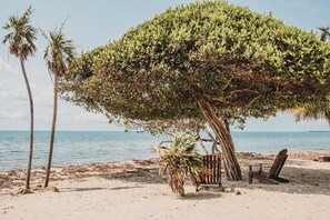 View from property - Summer Breeze  (Placencia)