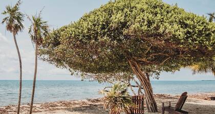 Summer Breeze