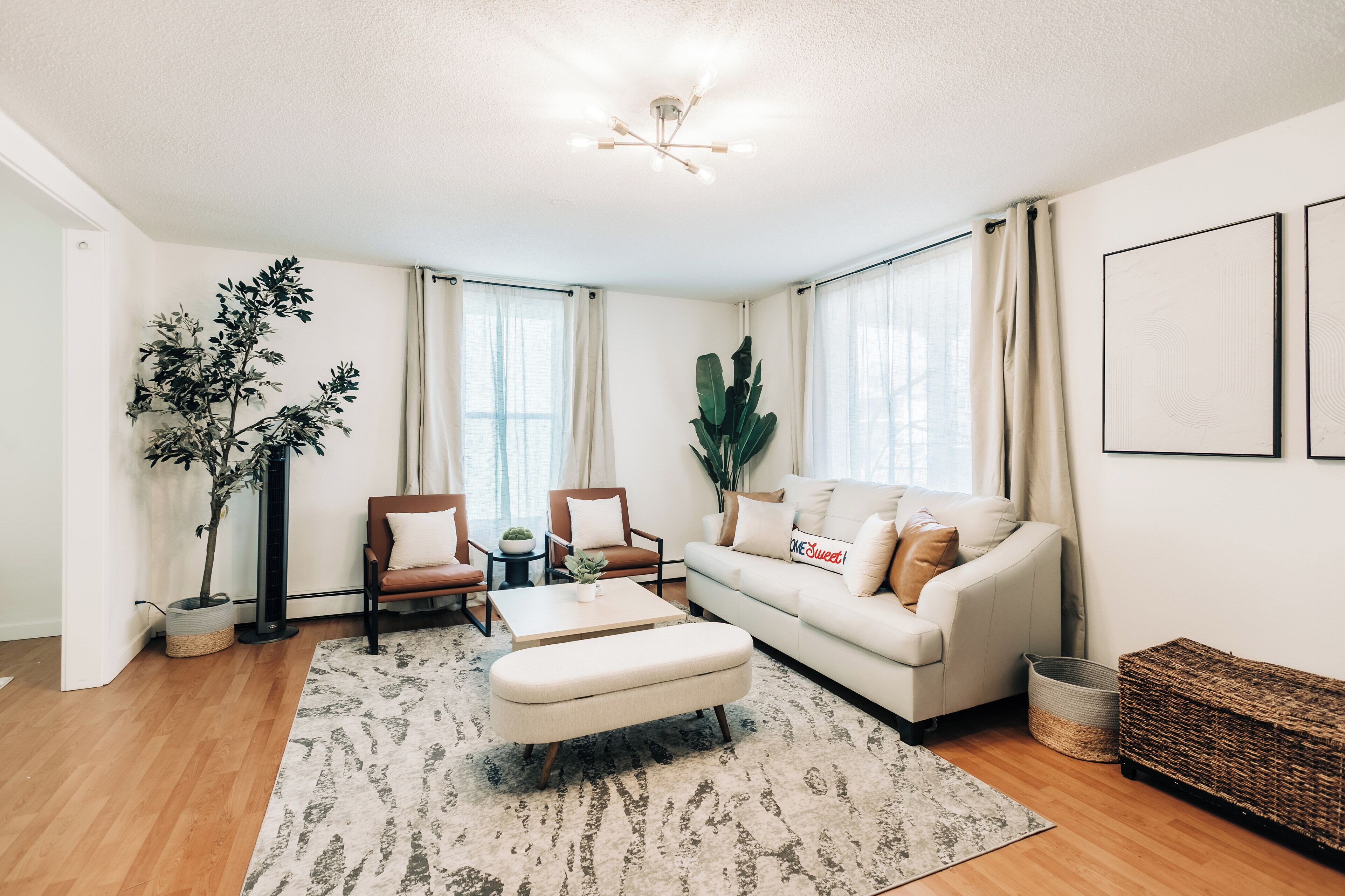 Smart TV, computer monitors