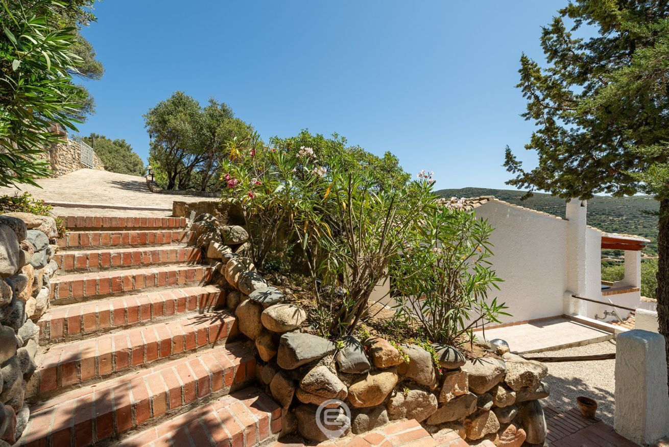 A set of brick stairs leading up to a white building with a stone wall and plants.