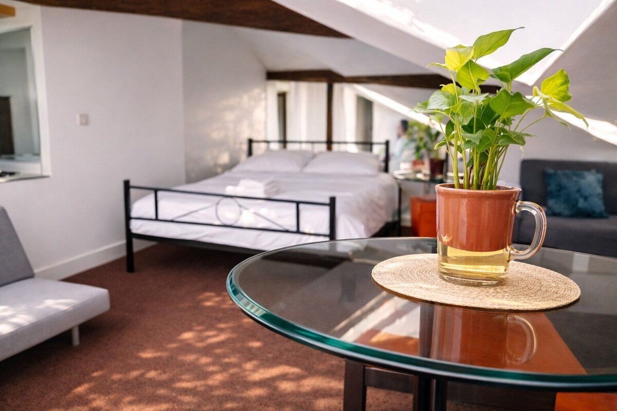 Image de profil de l’hôte