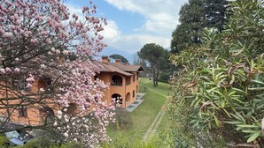 Ein Haus mit Garten, einem Weg und einem Baum mit rosa Blüten.