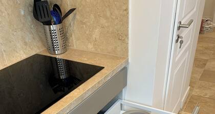 Maison de Ville EntiÚrement Meublée à 5 Minutes du Centre de Lille